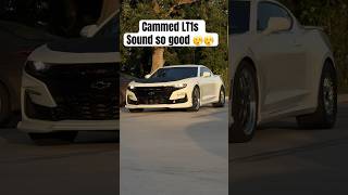 CAMMED 2019 6th gen Camaro SS #shortsfeed #camaro #automobile #cammed #chop #ss #chevy