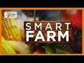 SMART FARM | Kajiado couple making their own animal feed