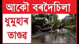 ৰাজ্যৰ বিভিন্ন প্ৰান্তত ধুমুহাৰ তাণ্ডৱ; ধুমুহাৰ ফলত বিস্তৰ ক্ষয়-ক্ষতি, বহু ঠাইত উভালি পৰিল গছ-গছনি