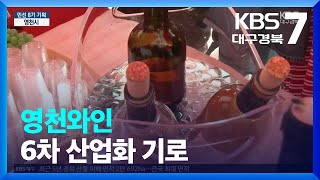 [현안 돋보기] 영천와인, 6차 산업화 기로 / KBS  2023.10.16.