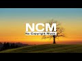 Rain and Tears - Neutrin05 (No Copyright Music) | NCM Release