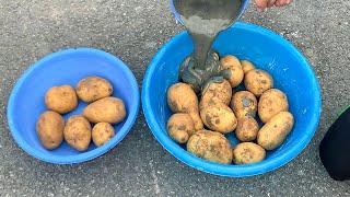 Make Flower Pots With Cloth And Cement At Home-Cement Good Idea