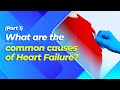 (Part 1) What are the common causes of Heart Failure?