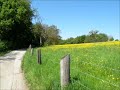 pfinztal rundumsicht im frühling