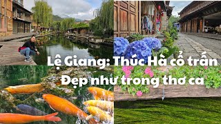 Trung Hoa du ký #15, Lệ Giang: Đắm say Thúc Hà cổ trấn, nguồn cảm hứng của thi ca, đẹp như trong mơ