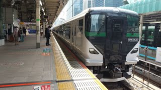 E257系5000番台OM-93編成 小金井発鎌倉行き集約臨返却回送警笛を鳴らして東京駅発車