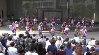 月下桜舞連　月城の唄　KOBE ALIVE 2015 | 神戸新舞　旧居留地56番ステージ