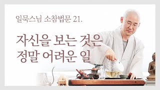 자신을 보는 것은 정말 어려운 일ㅣ일묵스님ㅣ초기불교 제따와나선원 일요 소참법문 21.