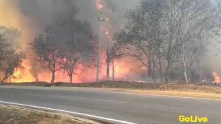 Karnataka forest fired / കർണാടകയിലെ കാട്ടിൽ 2019 ൽ ഉണ്ടായ തീപിടുത്തം