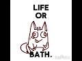 Life or Bath for Dry cat? #hazbinhotel #cursedcatalastor #meme