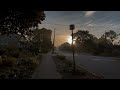 peaceful canadian neighbourhood morning walk nature sounds for sleep and study