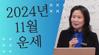 2024년 오행별 11월 운세 (자막을 켜고 보세요)