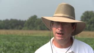 Project Overview: Potassium Deficiency and Soybean Yields