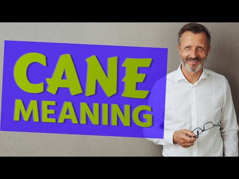Is cane a verb or noun?