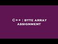 C++ : byte array assignment