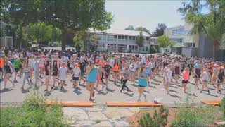 Schule ohne Rassismus - Schule mit Courage Flashmob am ZAGY 2018