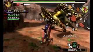 【MH4G】古文書【刃】(古文書クエスト第三巻目)【モンスターハンター4G】