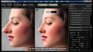 Portrait Professional 11 -  Digital Nose Job