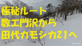 【かぐら５ロマ】数エ門沢からカモシカコースZ１へ　2024年3月17日【極秘ルート】