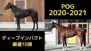 POG2020-2021ディープインパクト厳選10頭！【競馬スピードスター】