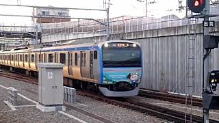 相鉄11000系11003編成9代目そうにゃんトレイン　各停横浜行　西谷駅到着