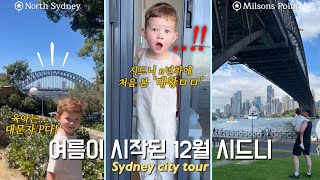 [Vlog]🇦🇺늦은 12월 브이로그✨시드니 1n년차 처음 본 대왕곤충(바퀴벌레 아님❌) 대문자 P같은 육아일상들🧘🏻‍♀️