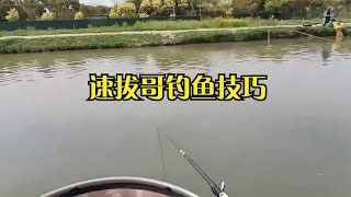 算是钓鲫鱼教程吧？黑坑钓鲫鱼技巧，这样钓鱼可以连杆爆护第三集