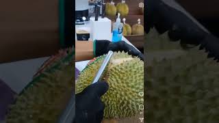 Durian super tembaga mantap abies