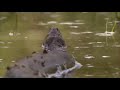 The Congo River: Full Documentary