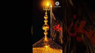 Abbas ka nara 😭#muharram #karbala #shia #imamhussain #islam #yahussain #imamali#allah#yaabbas#yaali