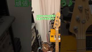 【Bass】これら#AtelierZ 兄弟に頑張ってもらおう♪ #bass #slapbass #サムピングダウンアップ #スラップベース #shorts