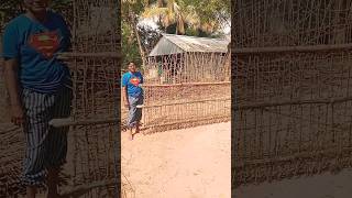 Bamboo 🎍 ladder 🪜 and bamboo 🎍 fencing 🕊️🥀#villagelife #bamboo #handmade