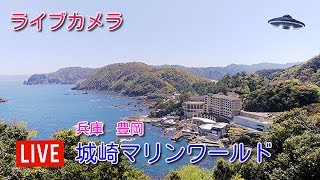 ライブカメラ　城崎マリンワールド