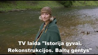 TV laida 