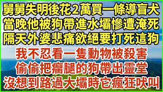 舅舅失明後花2萬買一條導盲犬，當晚他被狗帶進水壩慘遭淹死，隔天外婆悲痛欲絕要打死這狗，我不忍看一隻動物被殺害，偷偷把瘸腿的狗帶出靈堂，沒想到路過大壩時它瘋狂吠叫！#生活經驗 #情感故事 #深夜淺讀