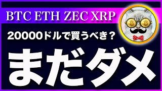 【気を付けて！！】ビットコイン・20000ドルは底ではない！【仮想通貨・戦略を先出しで毎日更新】