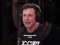 Elon Musk on why you shouldn't buy flamethrower #funny #elonmusk #jre