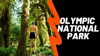 Olympic National Park Preview