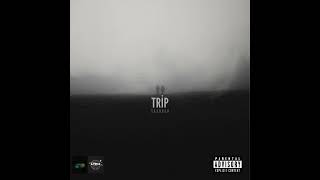 SA3.DOCH - TRIP - Prod.\