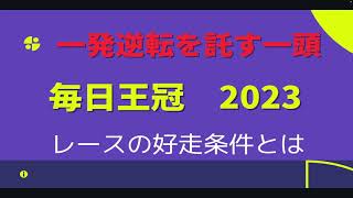 毎日王冠2023　打倒ソングライン、シュネルマイスター！一発逆転を託した一頭の紹介。