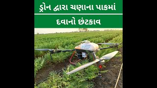 ચણાના પાકમાં ડ્રોન દ્વારા દવાનો છંટકાવ | AgriOwn Drone