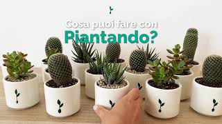 Cosa puoi fare con Piantando?