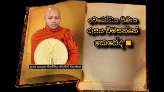 අවබෝධය පිණිස රූපය විමසන්නේ කෙසේද???🙏 #281 |REV HASALAKA SEELAWIMALA THERO |