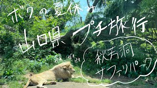 【山口県 プチ旅行✈️】秋芳洞サファリパーク　エサやり体験^ ^