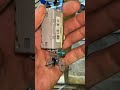 wiring a switch