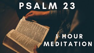 PSALM 23 | 1 Hour Repeat | Bible Verse Meditation | Fall Asleep to God’s Word