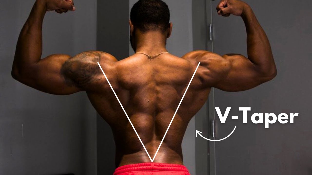 How To Build The Most Aesthetic V Taper Physique Full Breakdown Youtube