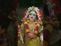 today’s the special jaya ekadashi shringar darshan from pune iskcon temple 🛕 08 02 2025 hari bol