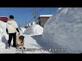 例年の約2倍の雪！？札幌住宅街お散歩事情