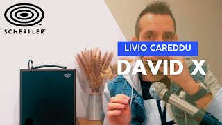 Dance Monkey cover - Livio Careddu w/ DAVID X